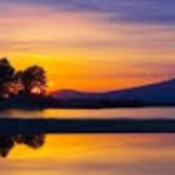 Meet your Posher, Annie - Picture 1 of 1